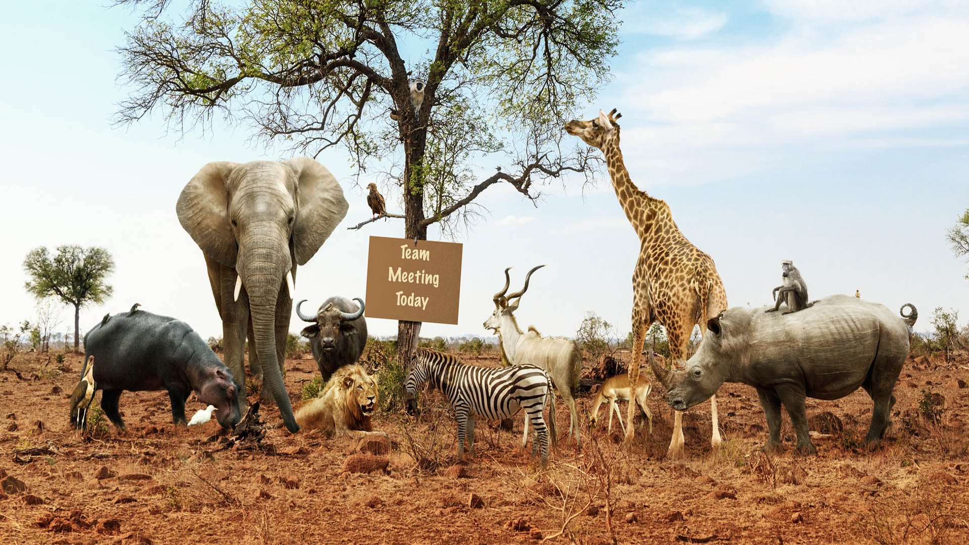 The top 9 cybersecurity conferences to participate in 2026