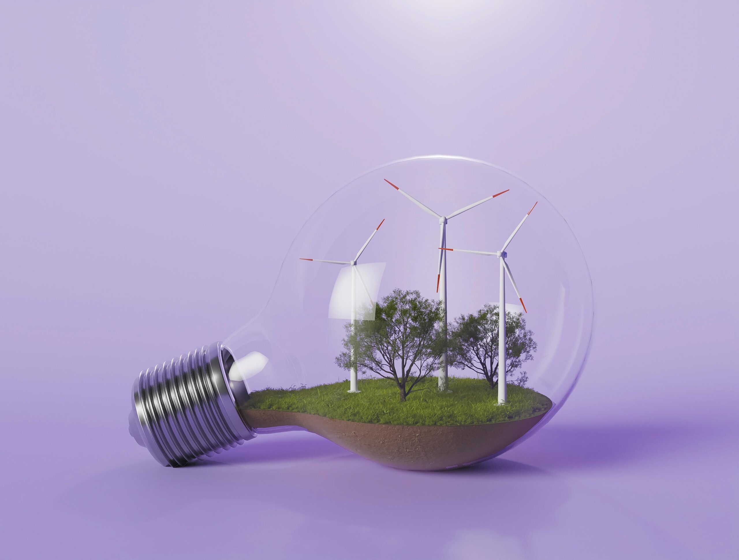 Engineering sustainability into AI: what cloud providers need to know