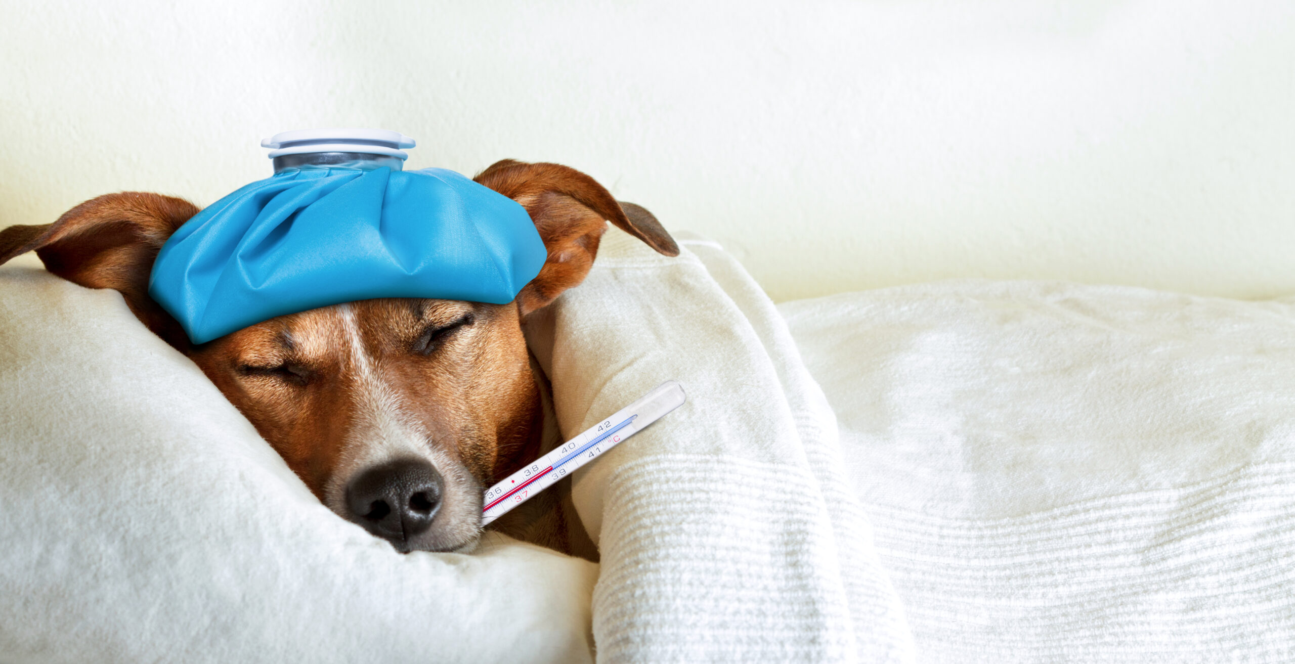 AWS sneezed, and the internet caught a cold: inside the October 20th outage