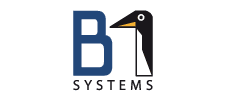 b1 systems