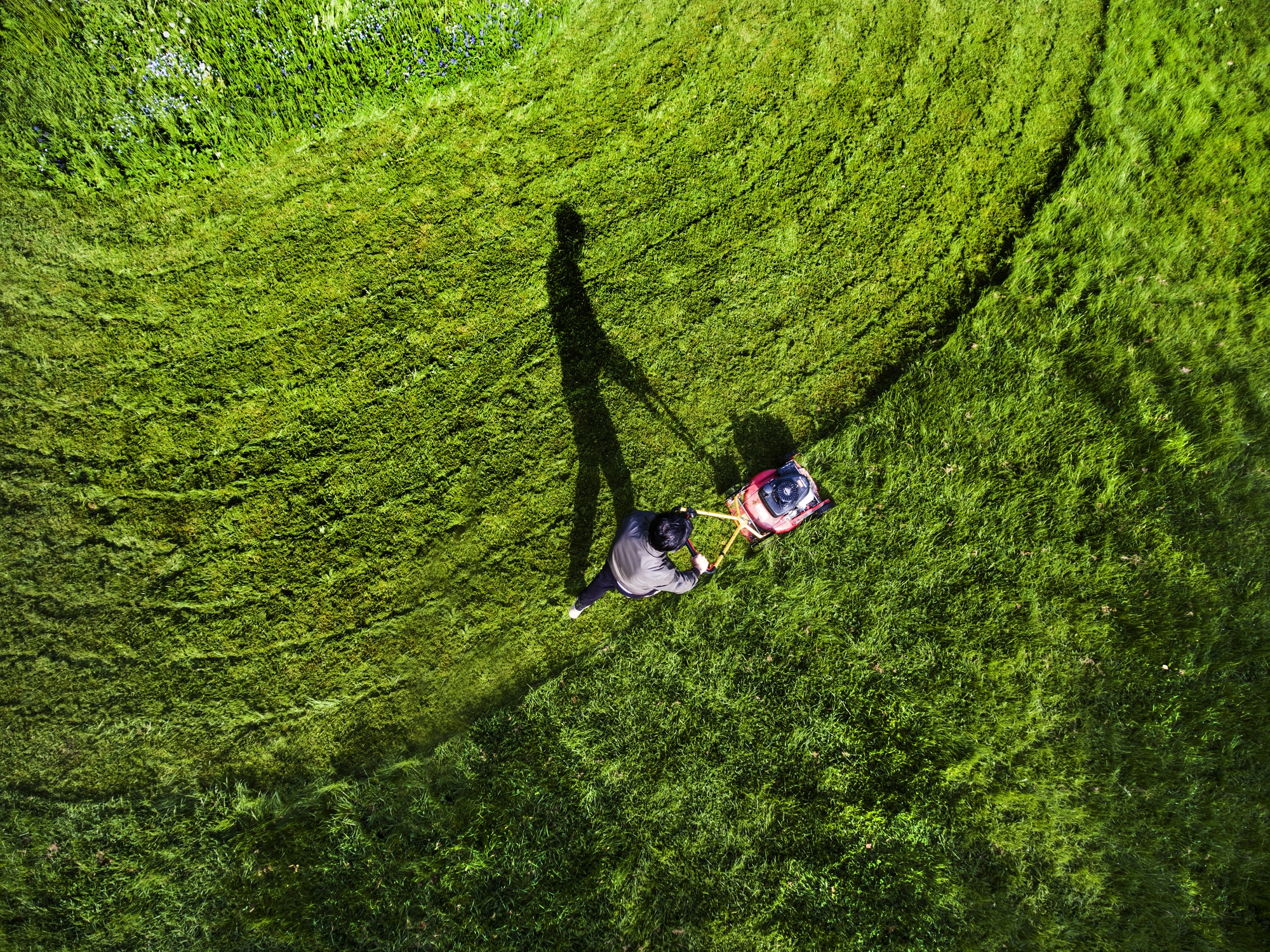 Aerial View Grass Trimming Lawnmower